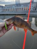 IMG_20230320_183513.jpg
