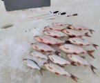 IMG_20230324_231755.jpg