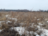 20230326_124711_photo-resizer.ru.png