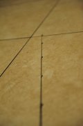 DSC_0428_7530.JPG