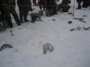 Бисерово 005.jpg