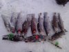 IMG_20140201_163322.jpg