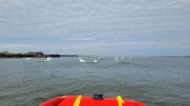 IMG_20230408_135331_381.jpg