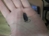 IMG_20230409_172513.jpg