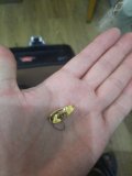IMG_20230409_172810.jpg