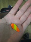 IMG_20230409_172938.jpg