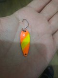 IMG_20230409_173023.jpg