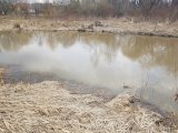 20230409_132933.jpg