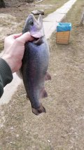 IMG-20230410-WA0010.jpeg