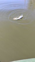 IMG-20230328-WA0002.jpeg