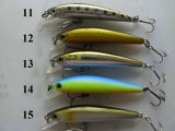 Daiwa-2-3.JPG