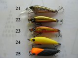 Daiwa-2-5.JPG