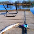 IMG_20230418_164549.jpg
