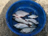 IMG_20230419_100239.jpg