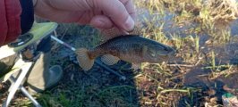 IMG_20230422_065521.jpg