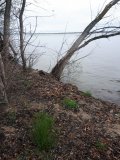 20230415_072355.jpg