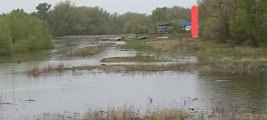 IMG_20230425_110138~2.jpg