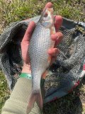 IMG_5937.jpeg