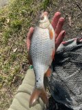 IMG_5938.jpeg