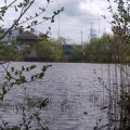IMG_20230425_134507.jpg