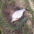 IMG_20230425_120012.jpg