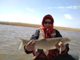 IMG_20180403_104950.jpg