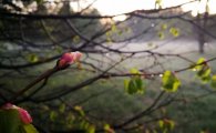IMG_20230430_093807.jpg