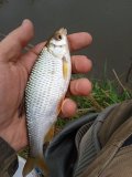 IMG_20230430_120546_1.jpg