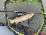 IMG_9462.jpeg