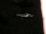 IMG_20230504_201257.jpg