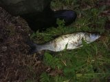 IMG_20230504_200725.jpg