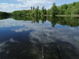 IMG_20230509_144917.jpg