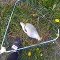 IMG_20230509_174539.jpg