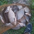 IMG_20230509_201349.jpg