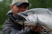 DSC08477.JPG