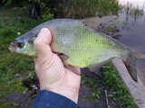 IMG_20230512_200417.jpg