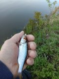 IMG_20230520_073434.jpg