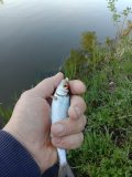 IMG_20230520_073439.jpg