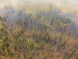 IMG_7646.jpeg