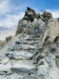 IMG_0811.JPEG