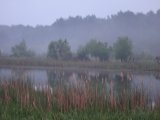 009904.jpg