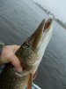 DSCN3780.jpg