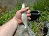 IMG_20230528_122822.jpg