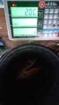 IMG-20230601-WA0013.jpg