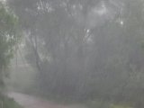 009902.jpg