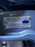IMG_3377.jpeg