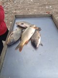 IMG-20230606-WA0040.jpg