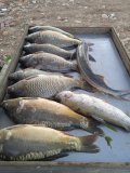 IMG-20230606-WA0043.jpg