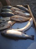 IMG-20230606-WA0054.jpg