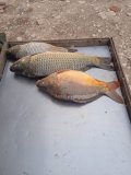 IMG-20230607-WA0168.jpg